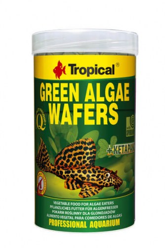 Tropical-GREEN-ALGAE-WAFERS